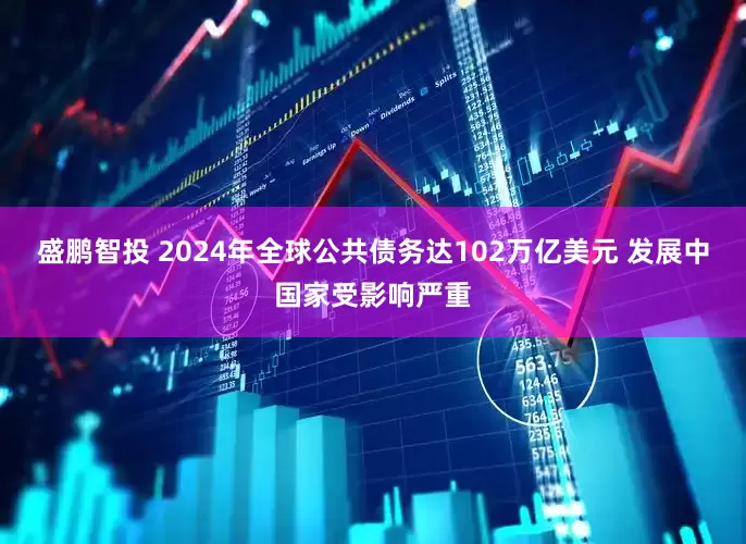 盛鹏智投 2024年全球公共债务达102万亿美元 发展中国家受影响严重