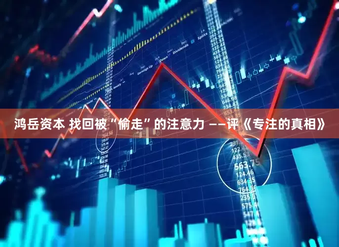 鸿岳资本 找回被“偷走”的注意力 ——评《专注的真相》