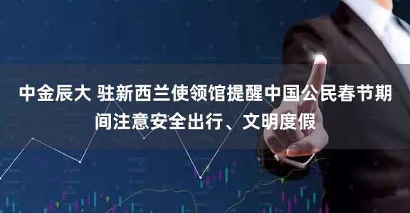 中金辰大 驻新西兰使领馆提醒中国公民春节期间注意安全出行、文明度假