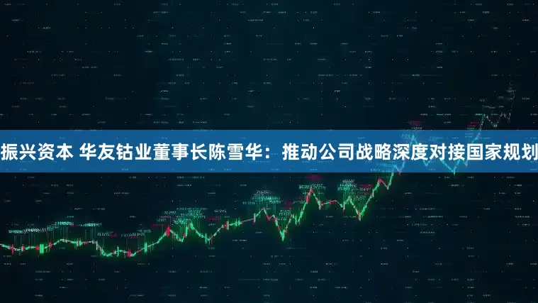 振兴资本 华友钴业董事长陈雪华：推动公司战略深度对接国家规划