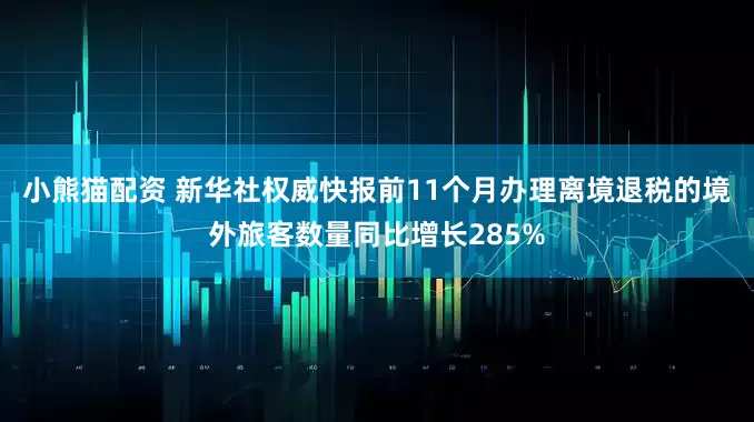 小熊猫配资 新华社权威快报前11个月办理离境退税的境外旅客数量同比增长285%